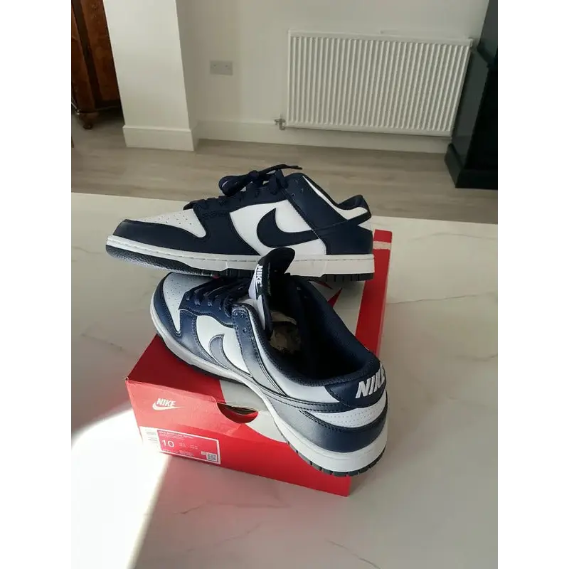 Men’s Nike trainers,low Dunk. 9,New