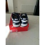 Men’s Nike trainers,low Dunk. 9,New