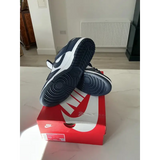 Men’s Nike trainers,low Dunk. 9,New